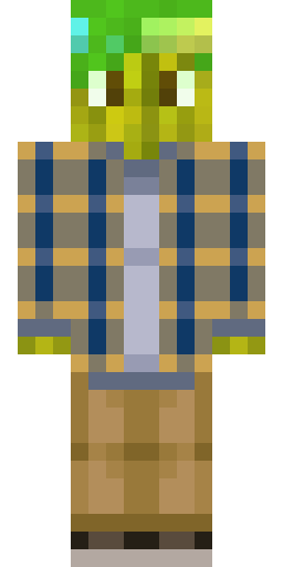 Minecraft-Skin von MelonBP