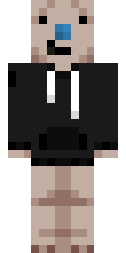 Minecraft-Skin von bouncecat