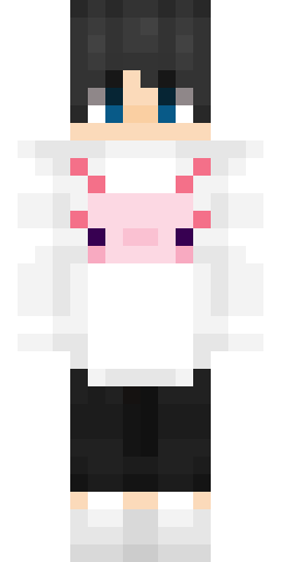 NotJan's Minecraft skin