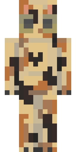 2500's Minecraft skin