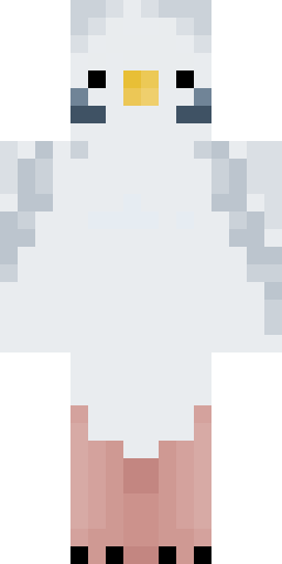 birbe's Minecraft skin
