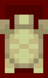 Turtle, Back